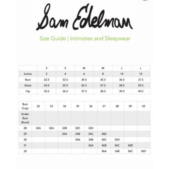 Beautiful Dawn Pink Lace Bodysuits - Picture 4 of 5